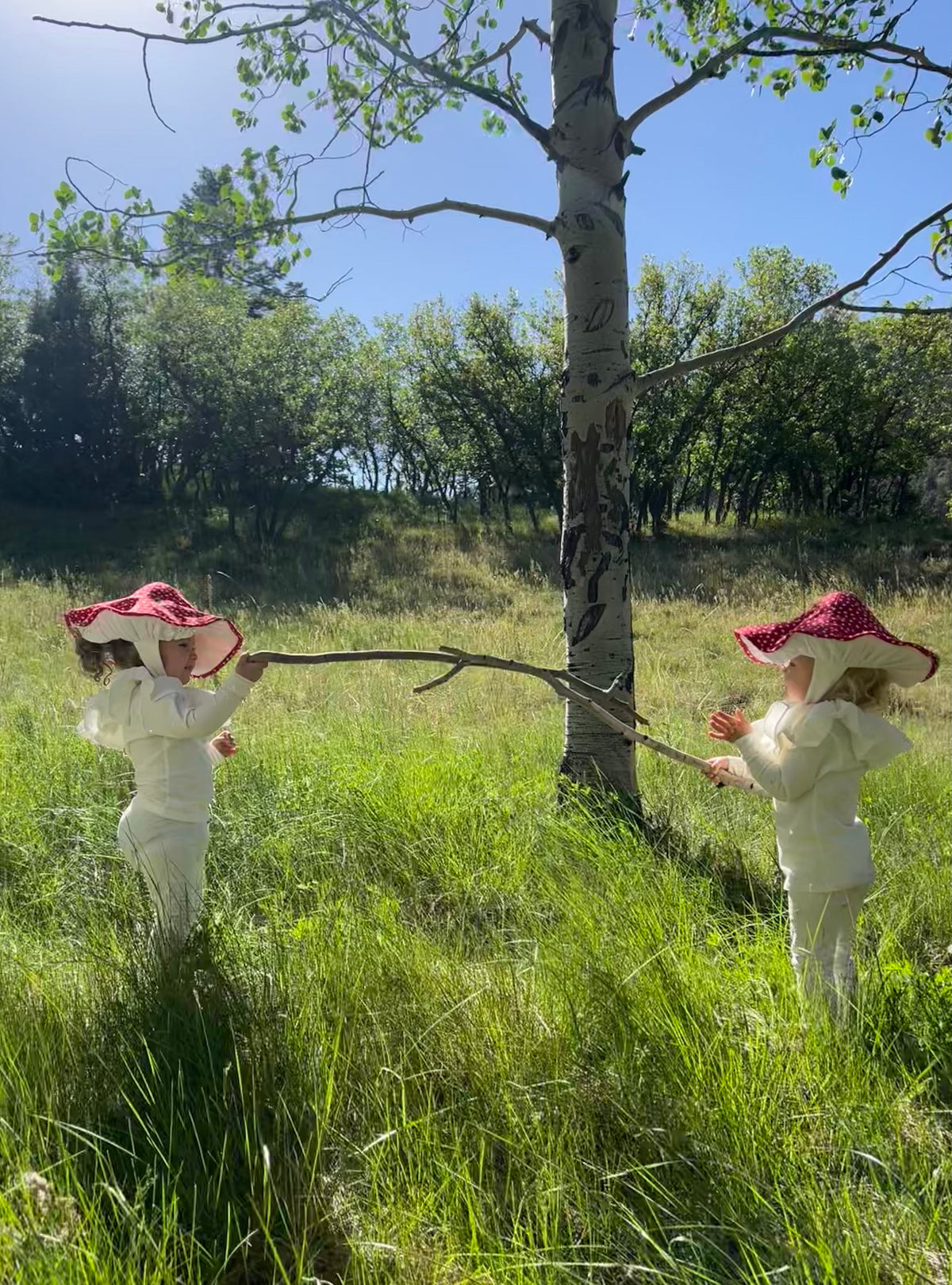 Mushroom Costume - Toadstool Halloween Costume