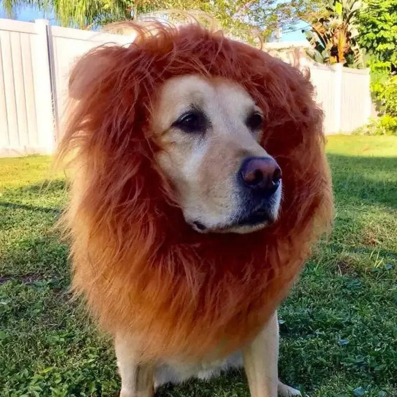 1Pc Realistic Lion Mane for Dogs Funny Lion Wig Costume for Medium Large Dogs Halloween Fancy Dress